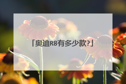奥迪R8有多少款?