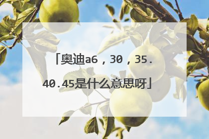 奥迪a6，30，35.40.45是什么意思呀