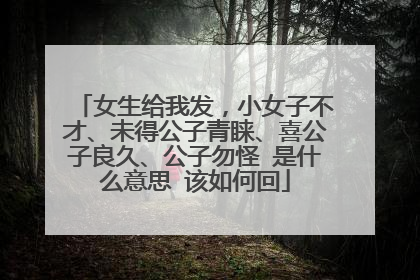 女生给我发，小女子不才、未得公子青睐、喜公子良久、公子勿怪 是什么意思 该如何回