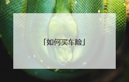 如何买车险