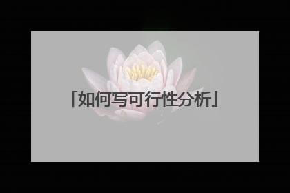 如何写可行性分析