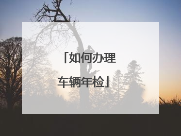 如何办理车辆年检