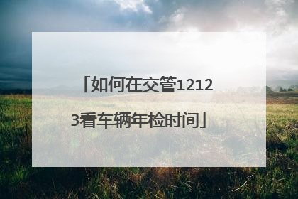 如何在交管12123看车辆年检时间