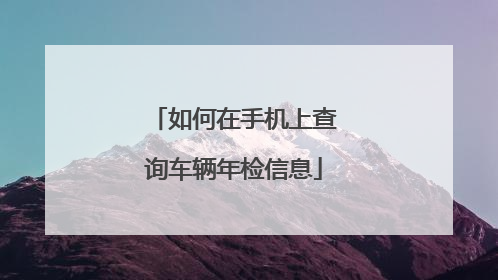 如何在手机上查询车辆年检信息