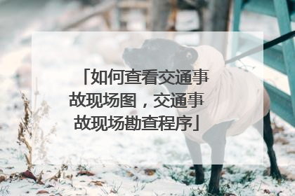 如何查看交通事故现场图，交通事故现场勘查程序