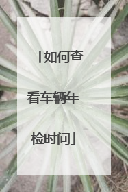 如何查看车辆年检时间