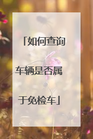 如何查询车辆是否属于免检车