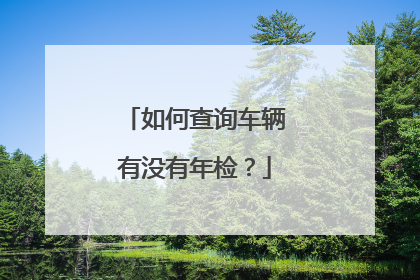如何查询车辆有没有年检？