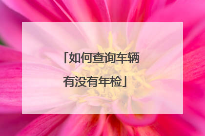 如何查询车辆有没有年检