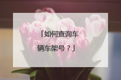 如何查询车辆车架号？