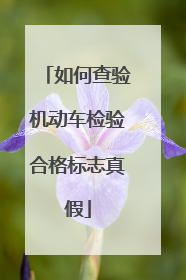 如何查验机动车检验合格标志真假