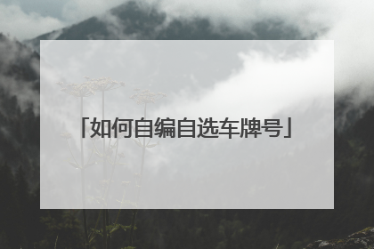如何自编自选车牌号