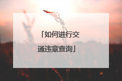如何进行交通违章查询