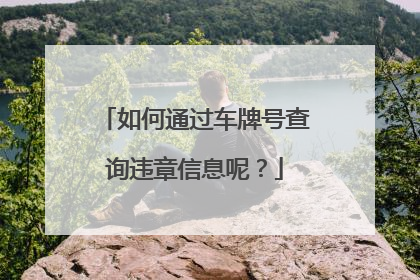 如何通过车牌号查询违章信息呢？