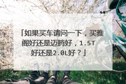 如果买车请问一下，买雅阁好还是迈腾好，1.5T好还是2.0L好？
