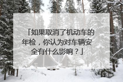 如果取消了机动车的年检，你认为对车辆安全有什么影响？