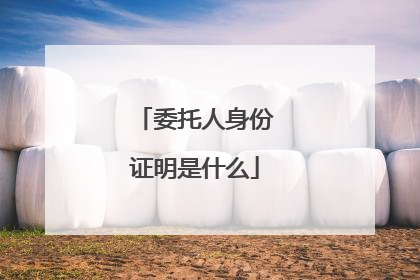 委托人身份证明是什么