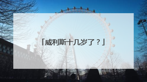 威利斯十几岁了？