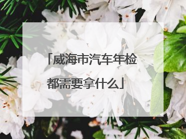 威海市汽车年检都需要拿什么