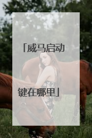 威马启动键在哪里