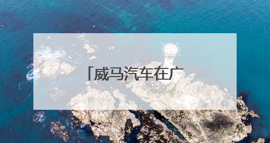 威马汽车在广州车展上亮相有什么惊喜吗？