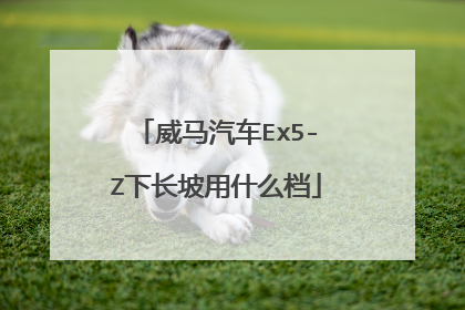 威马汽车Ex5-Z下长坡用什么档