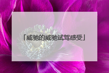 威驰的威驰试驾感受