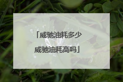 威驰油耗多少 威驰油耗高吗