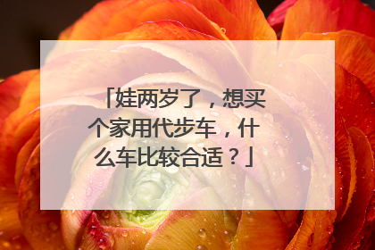 娃两岁了，想买个家用代步车，什么车比较合适？