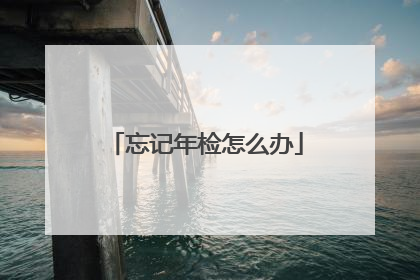 忘记年检怎么办