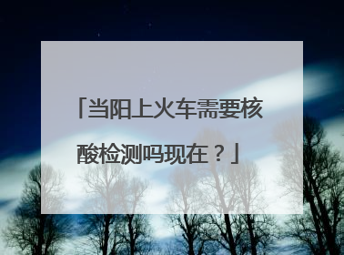 当阳上火车需要核酸检测吗现在？