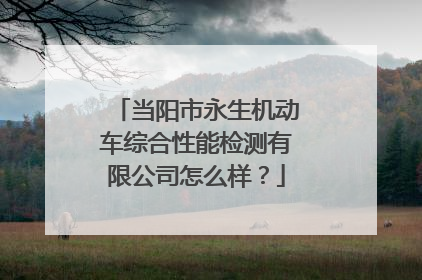 当阳市永生机动车综合性能检测有限公司怎么样？
