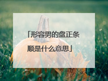 形容男的盘正条顺是什么意思