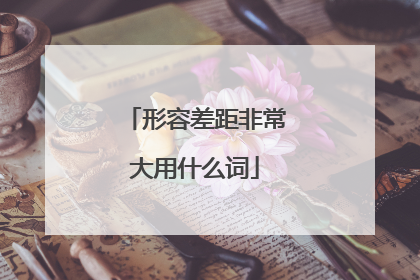 形容差距非常大用什么词