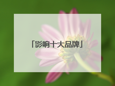 影响十大品牌