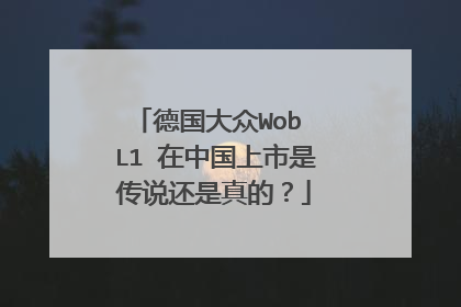 德国大众Wob L1 在中国上市是传说还是真的？
