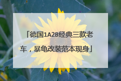 德国1A2B经典三款老车，暴龟改装范本现身