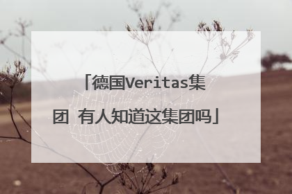 德国Veritas集团 有人知道这集团吗