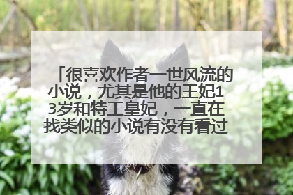 很喜欢作者一世风流的小说，尤其是他的王妃13岁和特工皇妃，一直在找类似的小说有没有看过的推荐一本。