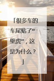 很多车的车尾贴了“壁虎”，这是为什么？