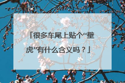很多车尾上贴个“壁虎”有什么含义吗？