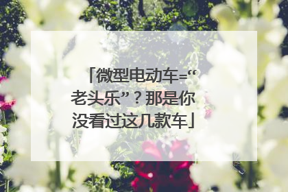 微型电动车=“老头乐”？那是你没看过这几款车