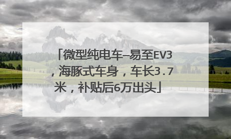 微型纯电车—易至EV3，海豚式车身，车长3.7米，补贴后6万出头