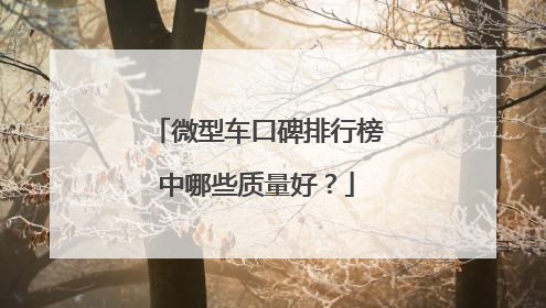 微型车口碑排行榜中哪些质量好？