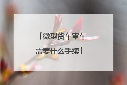 微型货车审车需要什么手续