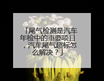 尾气检测是汽车年检中的重要项目，汽车尾气超标怎么解决？