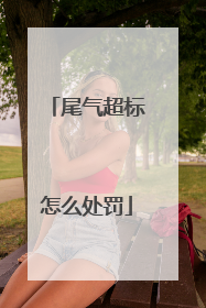 尾气超标怎么处罚