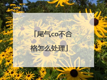 尾气co不合格怎么处理