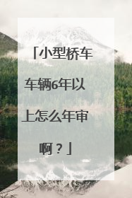 小型桥车车辆6年以上怎么年审啊？
