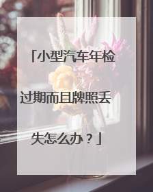 小型汽车年检过期而且牌照丢失怎么办？